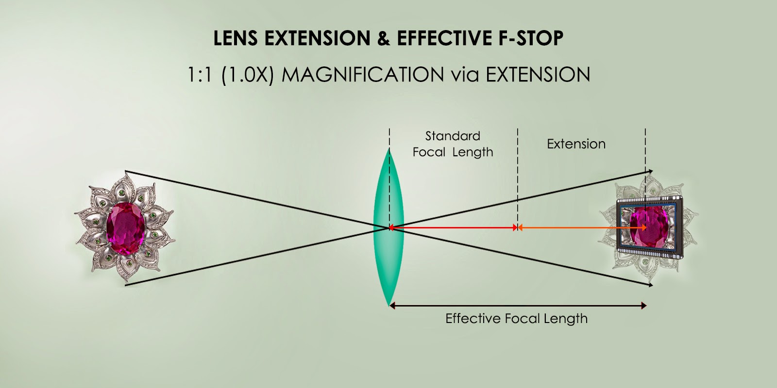 03-c-macro photography lens extension and effective f stop | Φωτογραφία